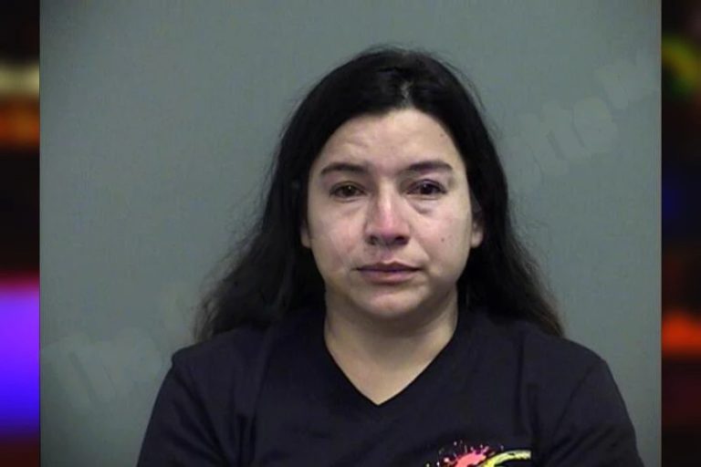 Alma Giron Romero mugshot – Effingham County , Georgia Alma Giron Romero