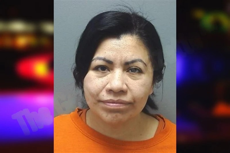 Alma Magana mugshot – Cherokee County , Georgia Alma Magana mugshot