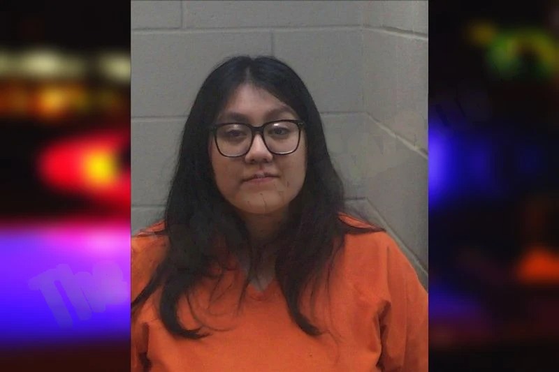 Alondra Garcia Soto Mugshots