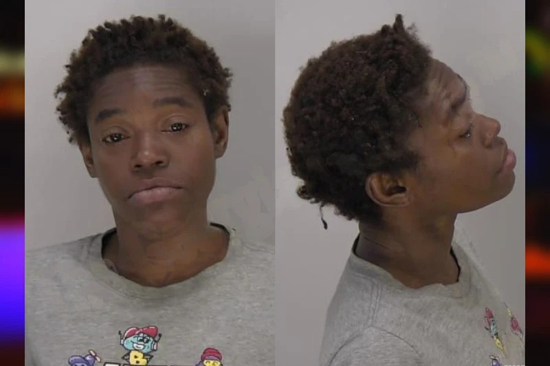 Alvina Hill Mugshots