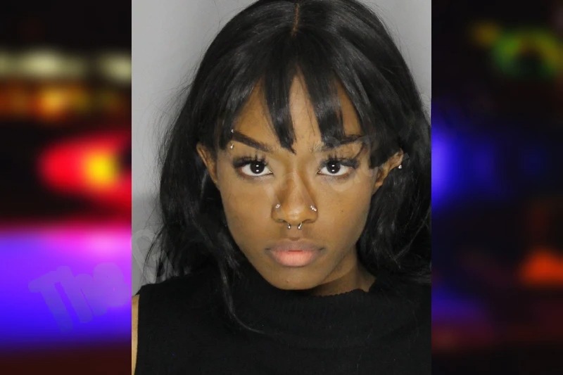 Alyceson Bundage Mugshots