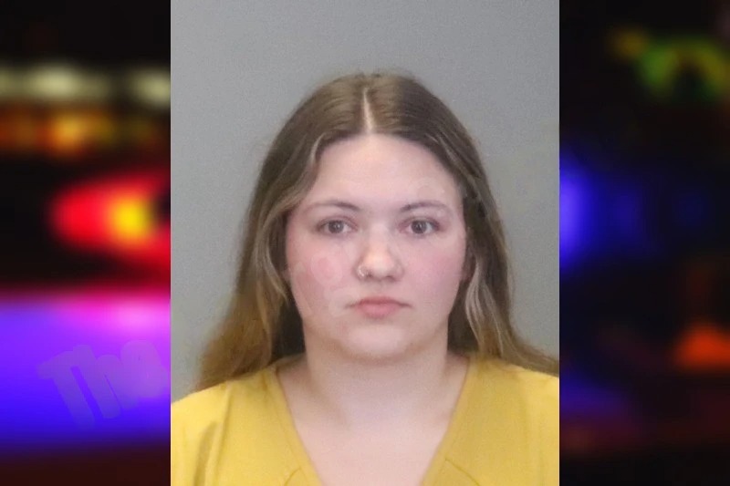 Alyssa Demont mugshot