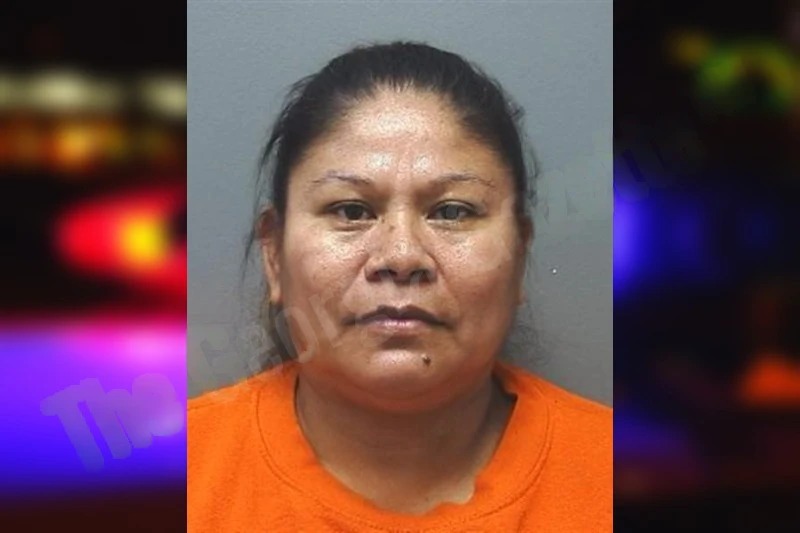 Amada Ventura mugshot