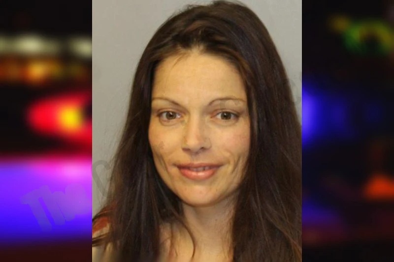 Amanda Allen mugshot – Hall County , Georgia Amanda Allen mugshot