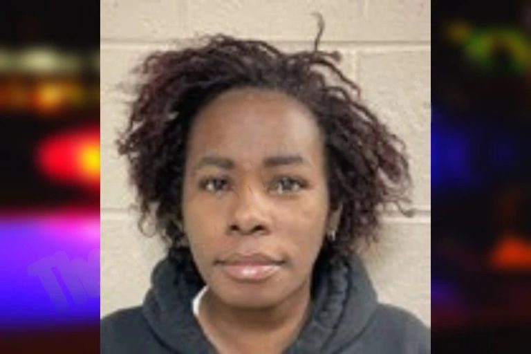 Amanda Evans mugshot β Henry County , Georgia Amanda Evans