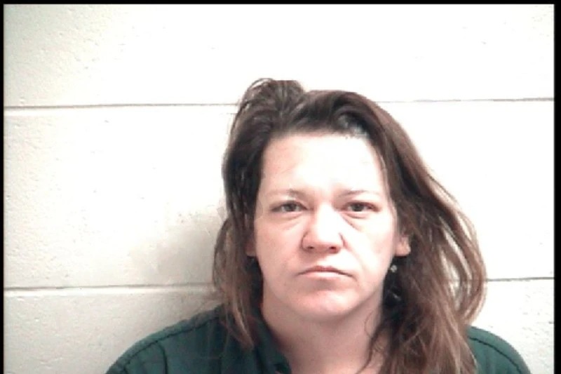 Amanda Gallmon mugshot – Henry County , Georgia Amanda Gallmon mugshot