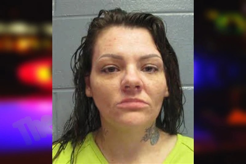 Amanda Gibson Mugshots