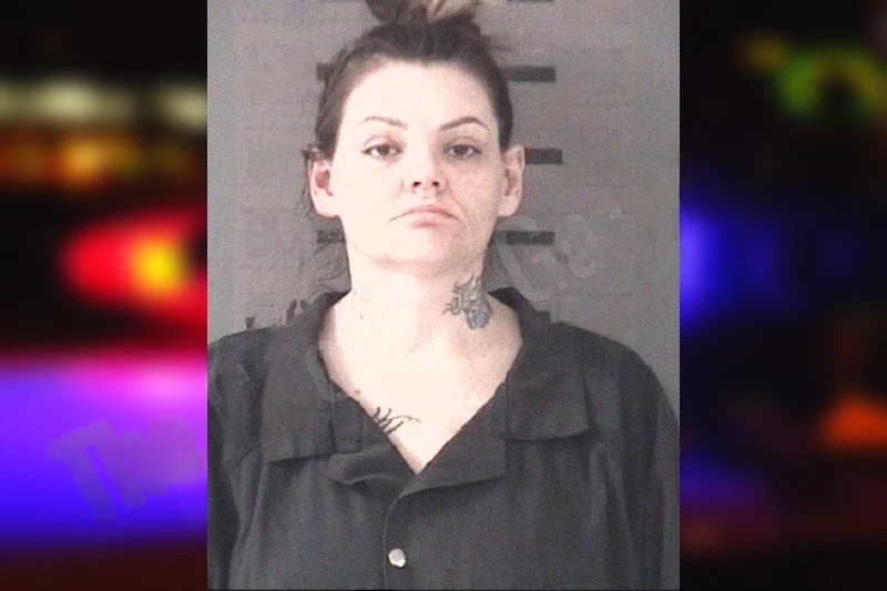 Amanda Gibson mugshot