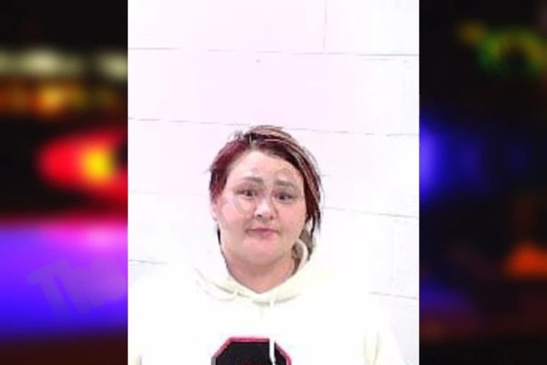 Amanda Holmes mugshot – Fulton County , Georgia Amanda Holmes