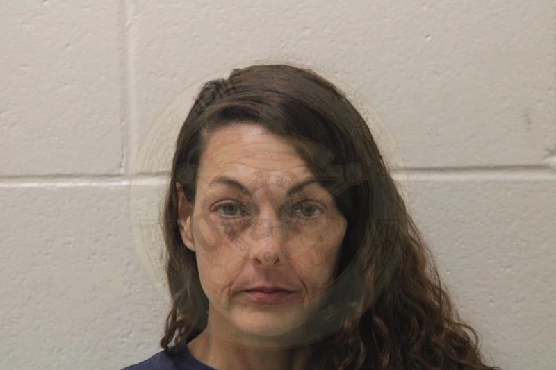 Amanda Hubby Mugshots