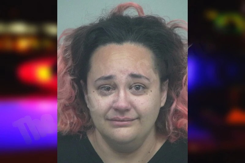 Amanda Mears mugshot – Gwinnett County , Georgia Amanda Mears mugshot