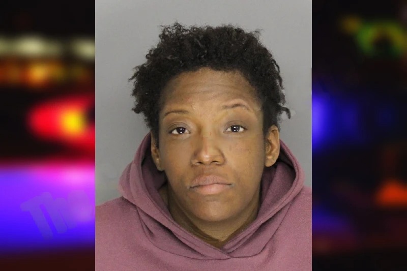 Amanda Nazario mugshot