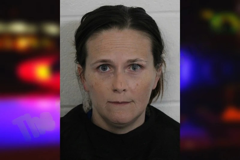 Amanda Sellears mugshot