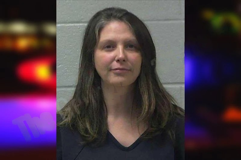 Amanda Shields mugshot