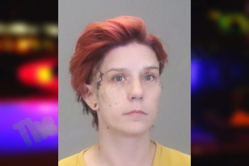 Amanda Taylor-Robbins mugshot – Muscogee County , Georgia Amanda Taylor-Robbins mugshot