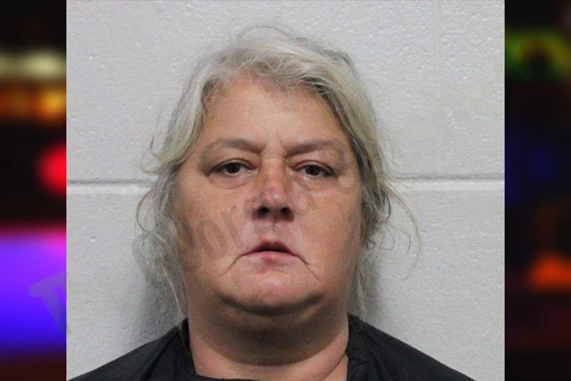 Amanda Whitlock Mugshots