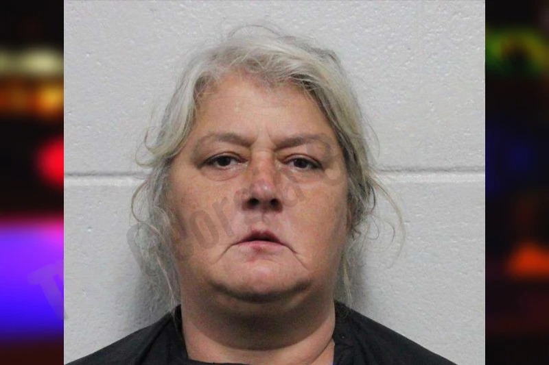 Amanda Whitlock Mugshots