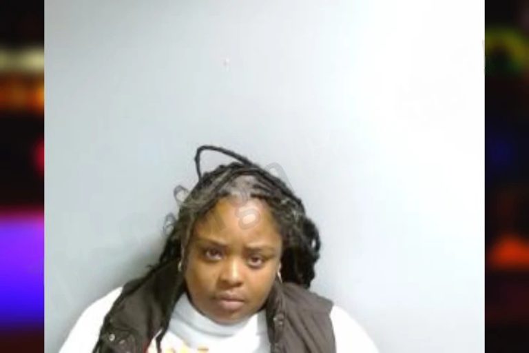 Amber Anderson mugshot – Fulton County , Georgia Amber Anderson