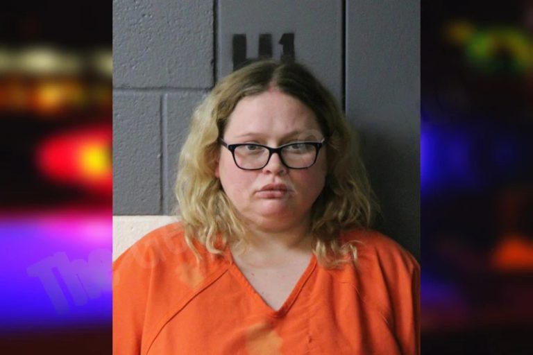 Amber Chambers mugshot – Lumpkin County , Georgia Amber Chambers