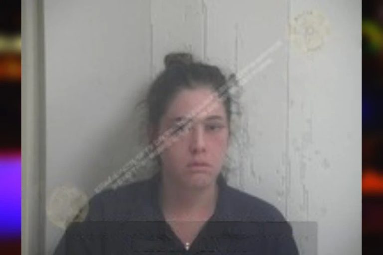 Amber Chrones mugshot – Rockdale County , Georgia Amber Chrones
