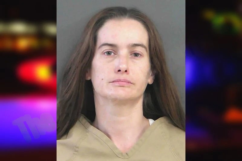 Amber Davis Mugshots