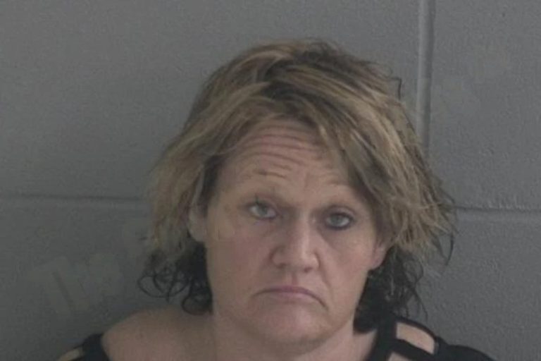 Amber McNabb mugshot – Brantley County , Georgia Amber McNabb