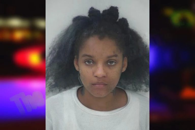 Ameyia Plummer mugshot – Fayette County , Georgia Ameyia Plummer