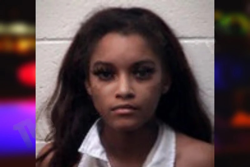 Ameyia Plummer mugshot