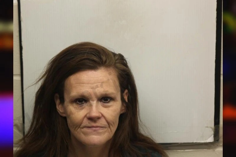 Amy Bouvette mugshot