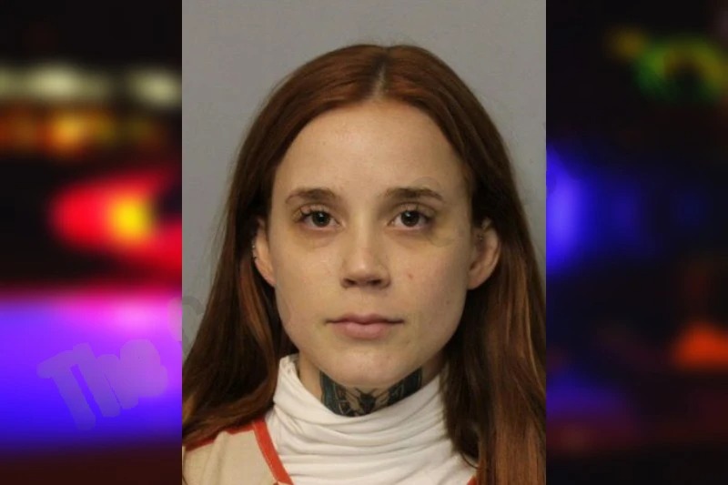 Amy Fountain mugshot