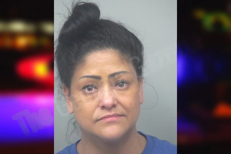 Ana Gebhardt mugshot – Gwinnett County , Georgia Ana Gebhardt mugshot