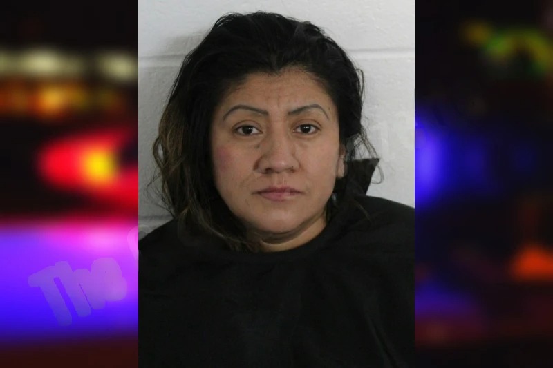 Ana Vasquez Perez Mugshots