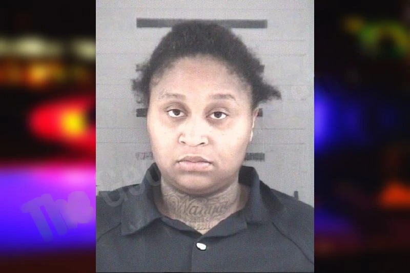 Anastasia Folds mugshot – Dougherty County , Georgia Anastasia Folds mugshot