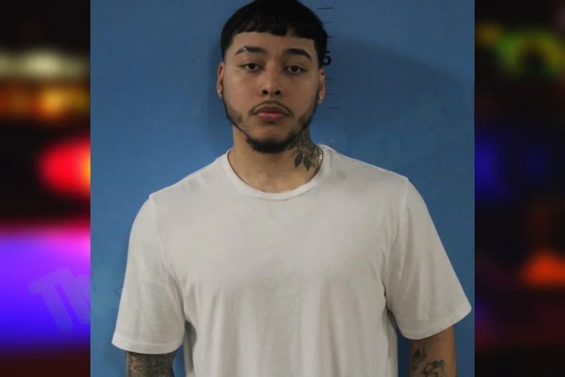 Angel Larin Mugshots