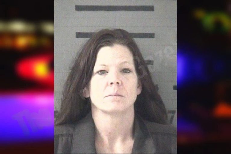 Angela Dent mugshot – Dougherty County , Georgia Angela Dent