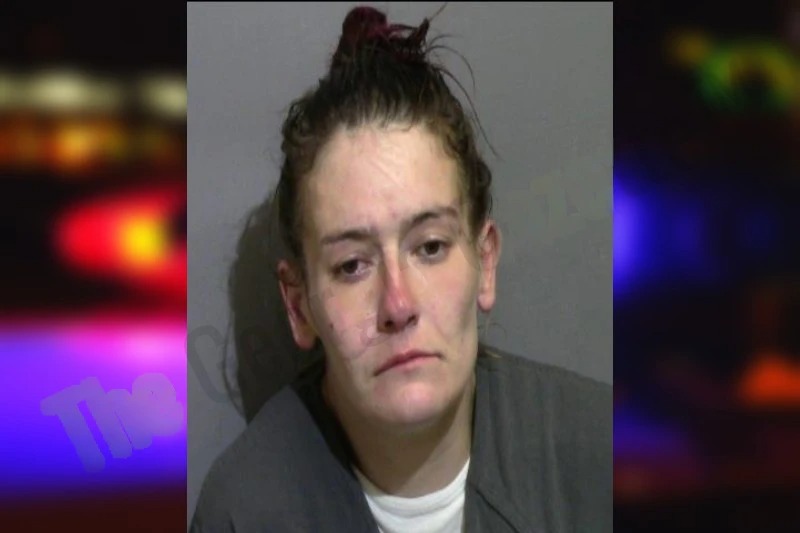 Angela Snow mugshot – Glynn County , Georgia Angela Snow mugshot