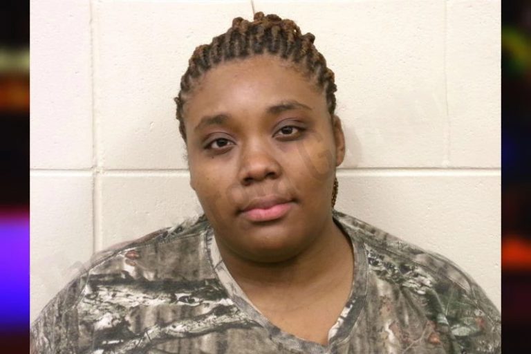 Angelica Hunter mugshot – Bulloch County , Georgia Angelica Hunter