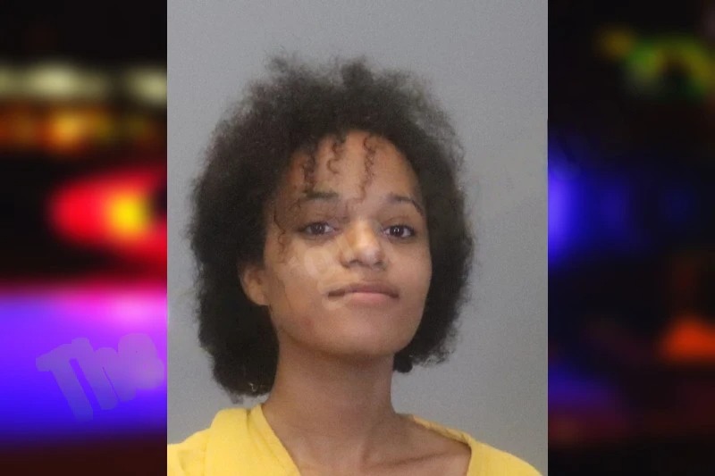 Angelina Andrews Mugshots