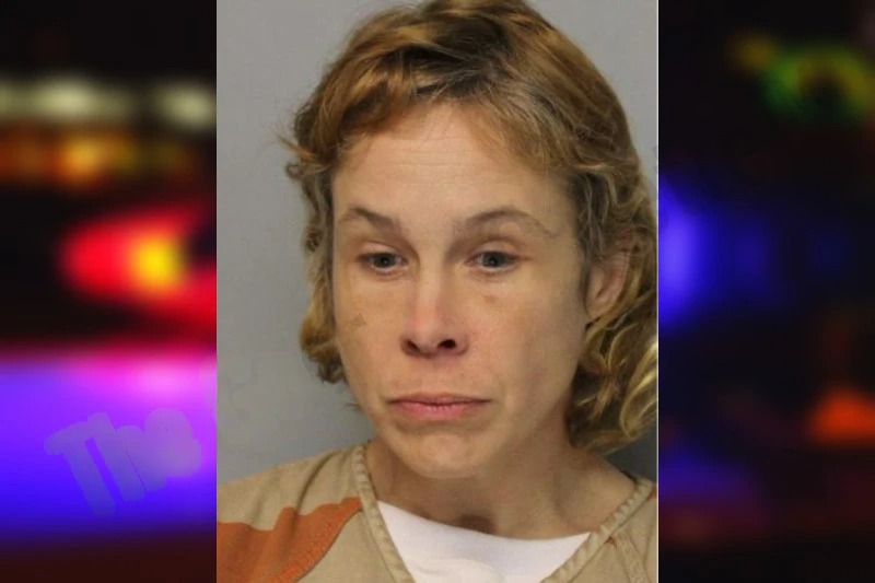 Angelina Cagle mugshot – Hall County , Georgia Angelina Cagle mugshot