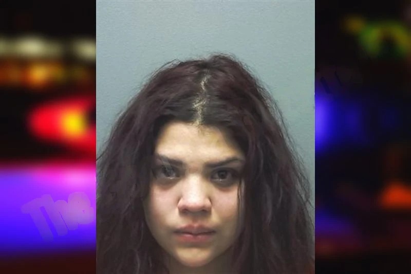 Angie Fuentes mugshot – Cherokee County , Georgia Angie Fuentes mugshot