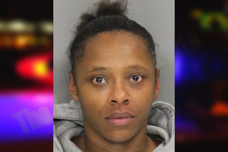 Angie Murphy mugshot – Cobb County , Georgia Angie Murphy mugshot