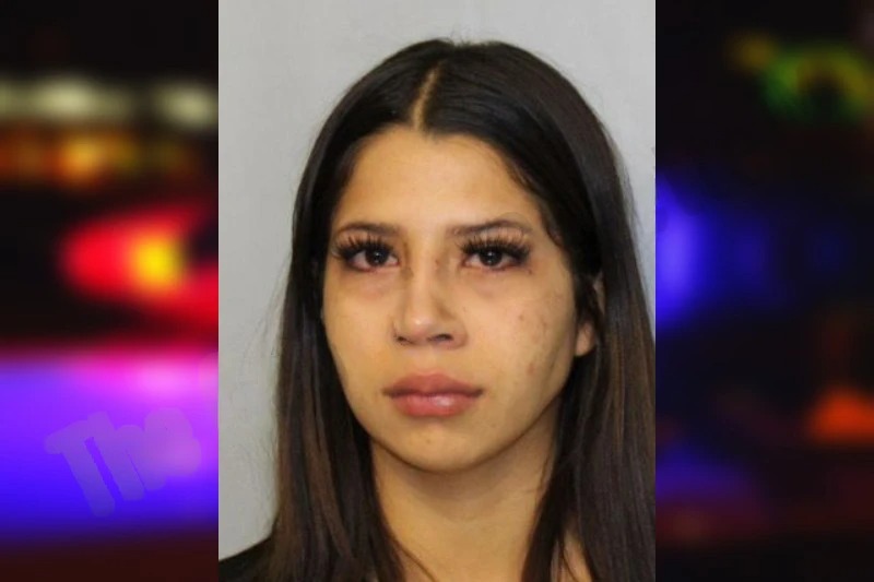 Angye Salinas-Diaz mugshot