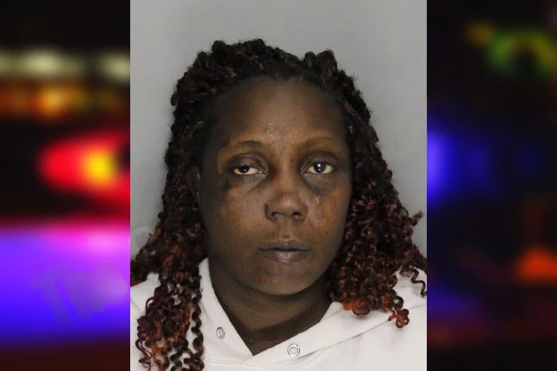 Anissa Favors Mugshots