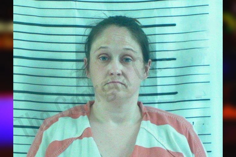 Anita Clemons Mugshots