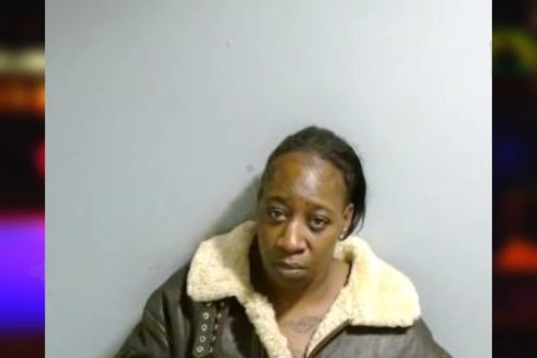 Anita Mason mugshot – Fulton County , Georgia Anita Mason