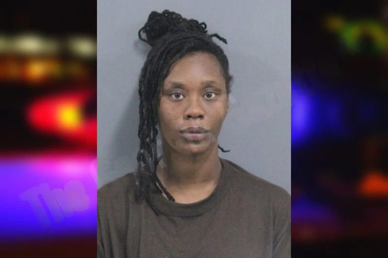 Aniya Jordan mugshot – Catoosa County , Georgia Aniya Jordan
