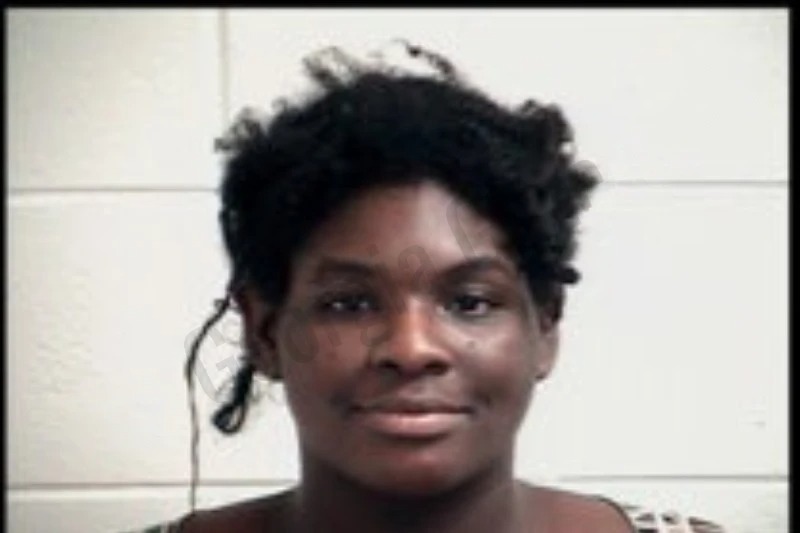 Anjolie Pierre-Louis mugshot – Henry County , Georgia Anjolie Pierre-Louis mugshot