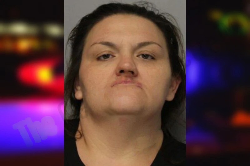 Ann Bridges Mugshots