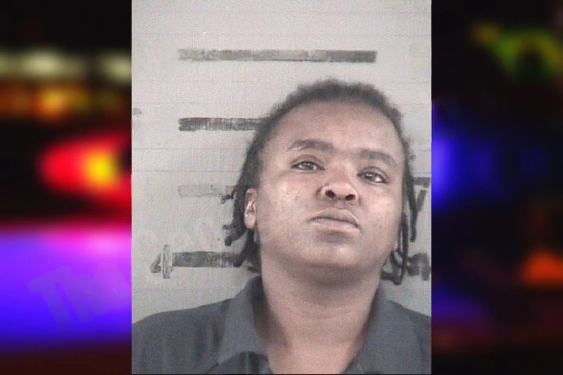 Ann Mitchell mugshot