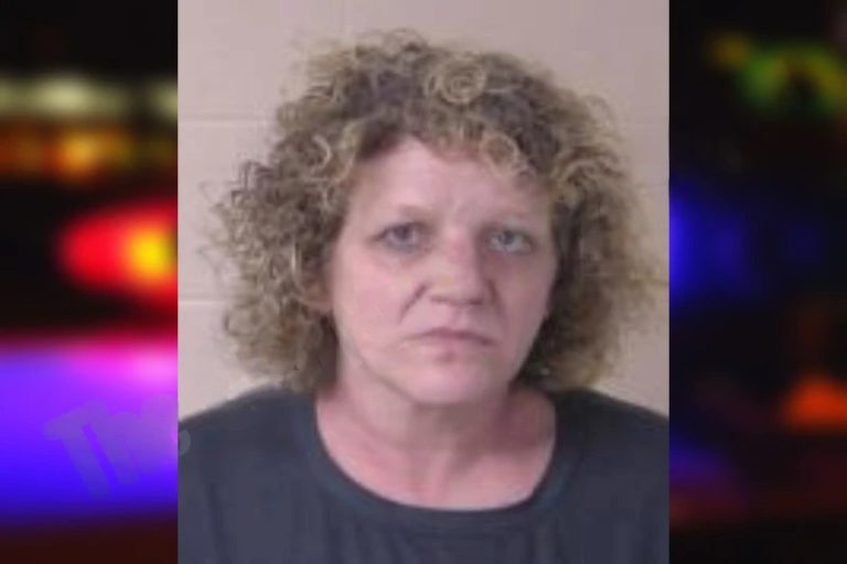 Anna Crowder mugshot – Walker County , Georgia Anna Crowder